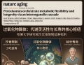 想活得更久更健康？这份哈佛研究颠覆你的认知！
