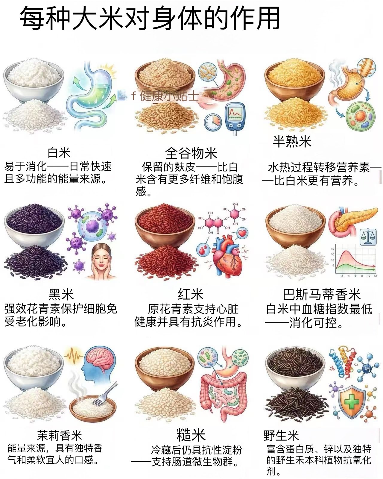 每种大米对身体的作用.jpg